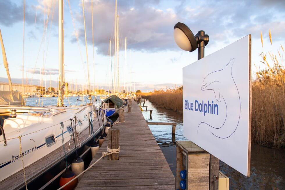 blue dolphin roma fiumicino