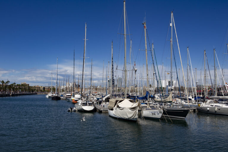 manutenzione barche fiumicino